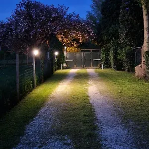 la-casina-apartament.emilia-romagnahotels.net/
